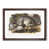 Walnut Framed