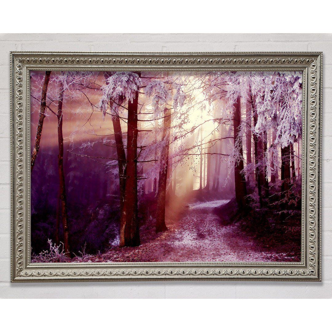 Winter Woodland Sunbeam - Einzelner Bilderrahmen Kunstdrucke