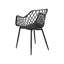 Nashua II Dining Chair-1930978217
