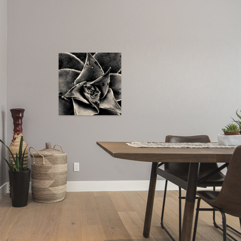 Seattle Succulents, art succulent contemporain, H 24 po x l 24 po