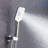 Massage/Jet Handheld Shower Head 1.8 GPM GPM-60248242