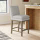 Bethea Upholstered Counter Stool (Set of 2)