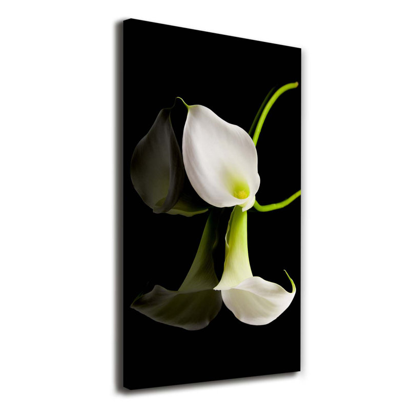 White Calla - Wrapped Canvas Print