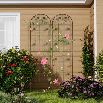 Metal Arched Trellis (Set Of 2)