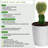 3-Piece Live Plants Set 