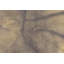 Tapis oriental pastel mauve moderne 5 x 8
