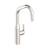 Muncy Single Handle Pull Down Kitchen Faucet