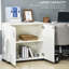 Aadyn 2 -Door 1 -Shelf Storage Cabinet-817430776