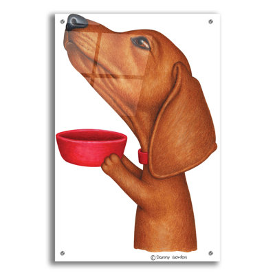 " Brown Dachshund Holding Red Bowl "