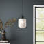 Bayley Single Light Glass Steel Dimmable Pendant