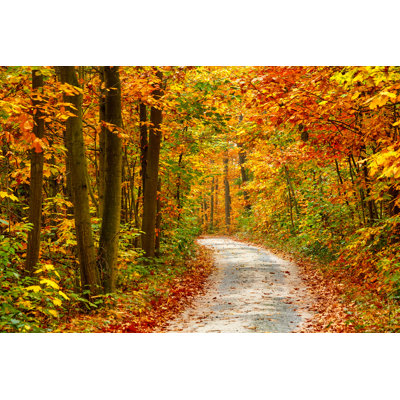 «Autumn Forest» par Sborisov - reproduction d'art sur toile tendue
