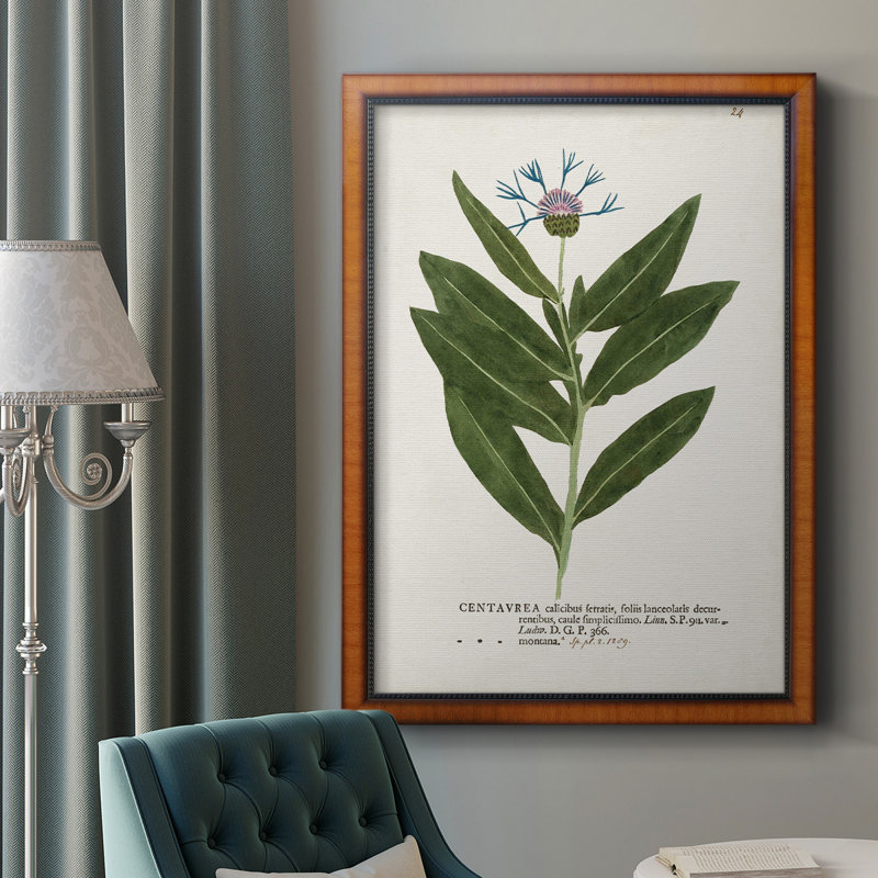 Nature imprimée Botanicals II, toile encadrée de qualité supérieure - prête à être accrochée, H 27 po x l 18 po x P 2,5 po