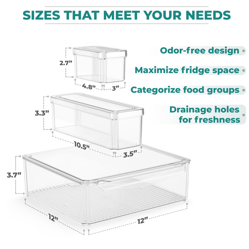  Refrigerator Storage Bins with Lids 10 Pack