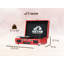 Portable Decorative Record Player with Bluetooth-101463008