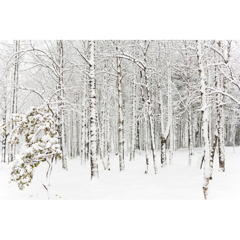 La forêt après une grande tempête de neige par Vnosokin, H 20 po x l 30 po