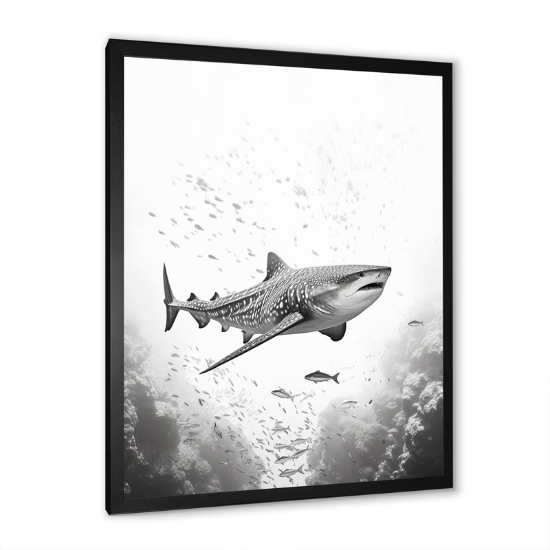 " Monochrome Grey Shark Dance I ", Black Single Picture Framed, 32" H x 24" W x 1" D