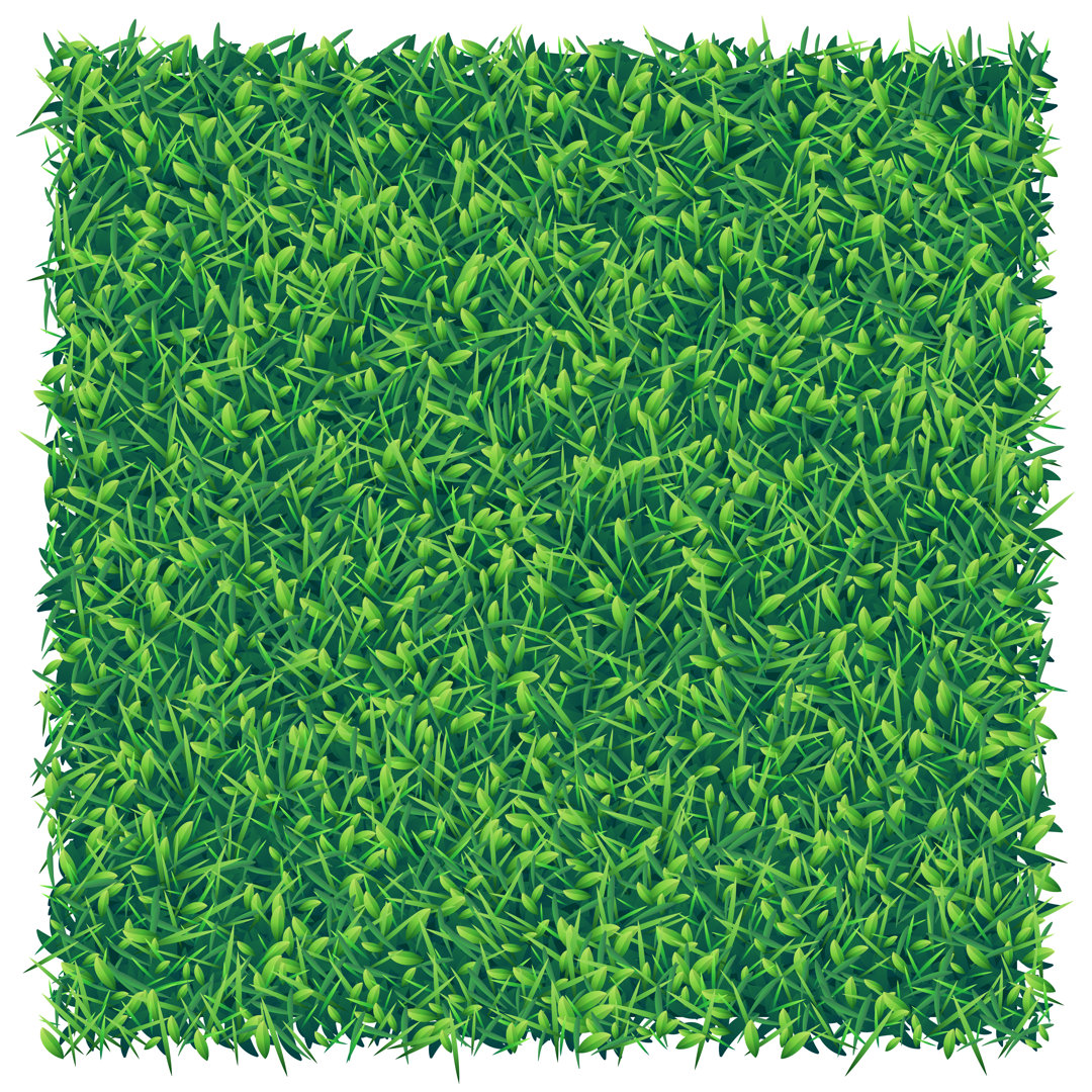 Green Grass von Dimitris66 - Kunstdrucke auf Leinwand