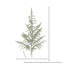 Ensemble de 4 branches de pin artificielles