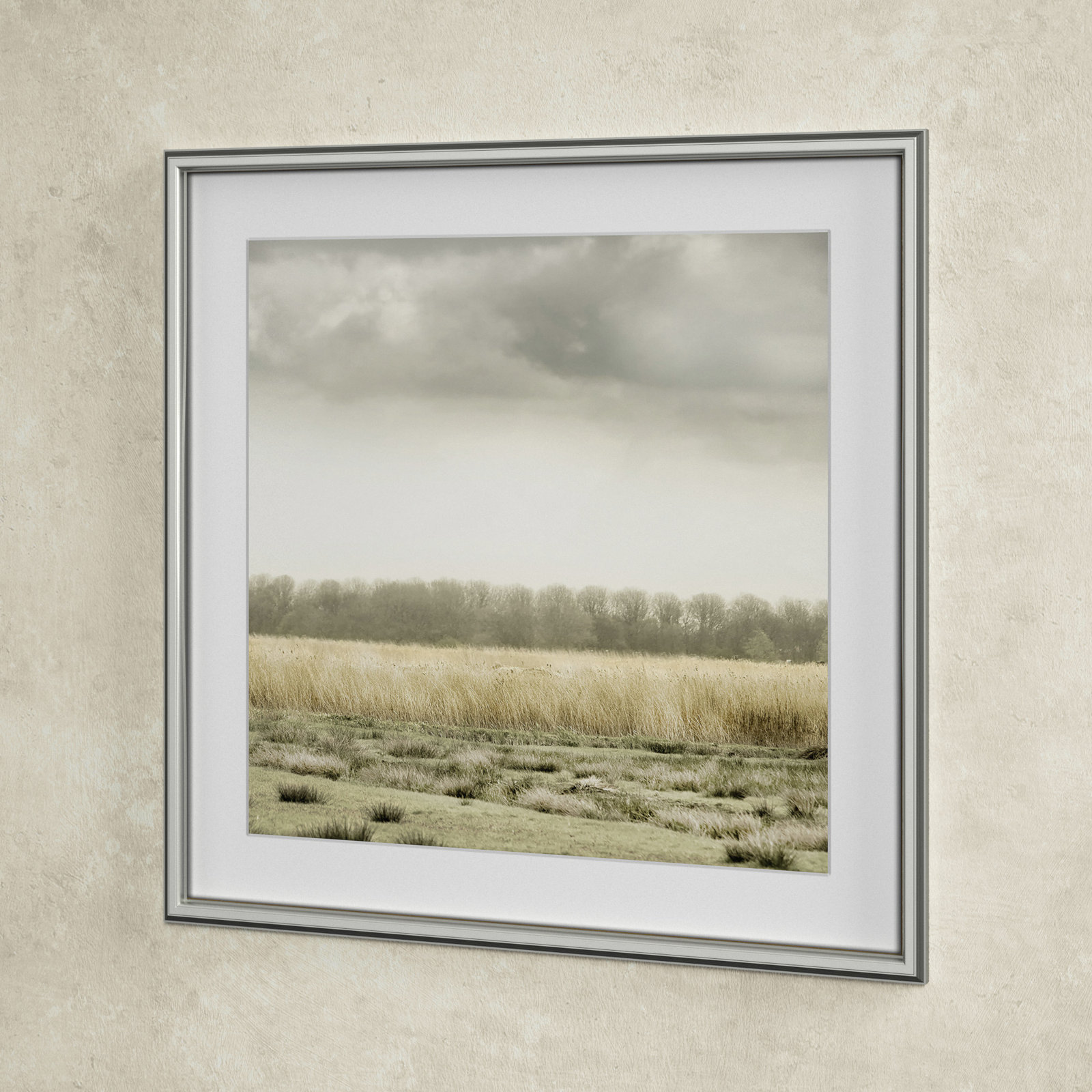Henri "Meadowland" Print by Danita Delimont, 23.5" H x 23.5" W, Silver