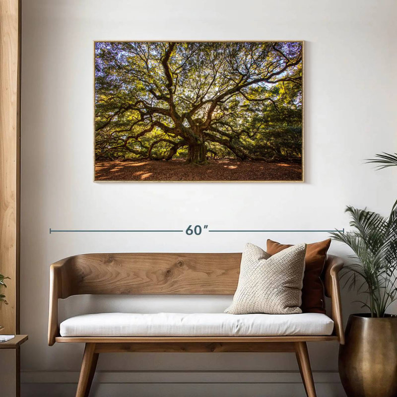 Gnarled Angel Oak, Floating Frame Natural Wood, 43" X 29"
