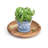 Loon Peak® Linesville Tray