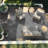 Indoor / Outdoor Rug-161492382
