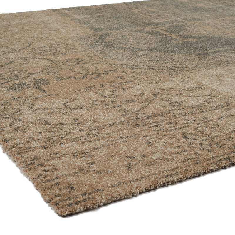 Tapis beige / brun Paske, 5 pi 3 po x 7 pi 7 po