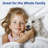 Microfiber Sheet Set-28760122-28760117