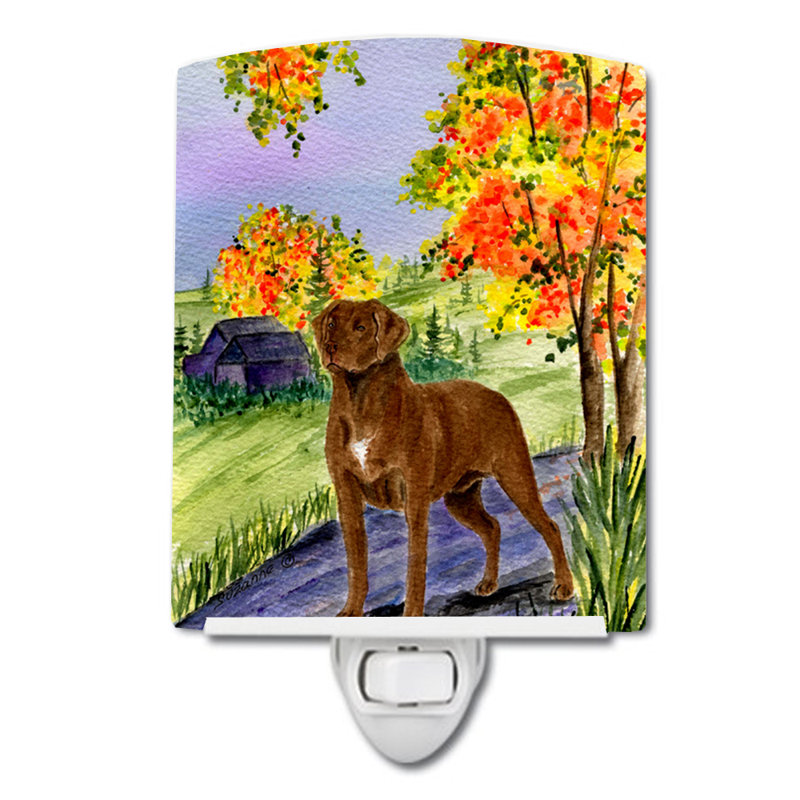Éclairage de nuit en céramique chesapeake bay retriever