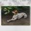 Fox Terrier with a Butterfly-Bruno Liljefors-Gallery Wrapped Canvas-1891-1606829092