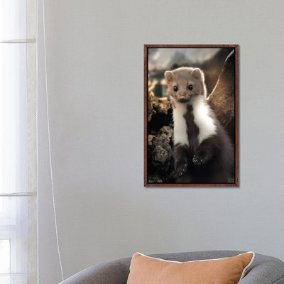 The Cute Weasel by Zenja Gammer - Print on Canvas