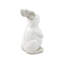 Collmar Animal Rabbit-151450693