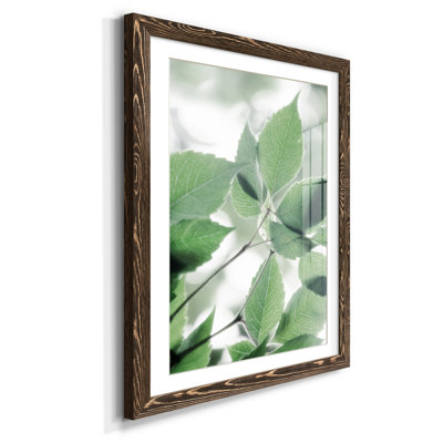 Fields of Green I - Cadre photo, reproduction d'art sur papier