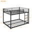 Orth Kids Bunk Bed-253397609-253397610