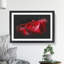 Red Rose Flower Vol.1 - Picture Frame Painting-62823650-62823647