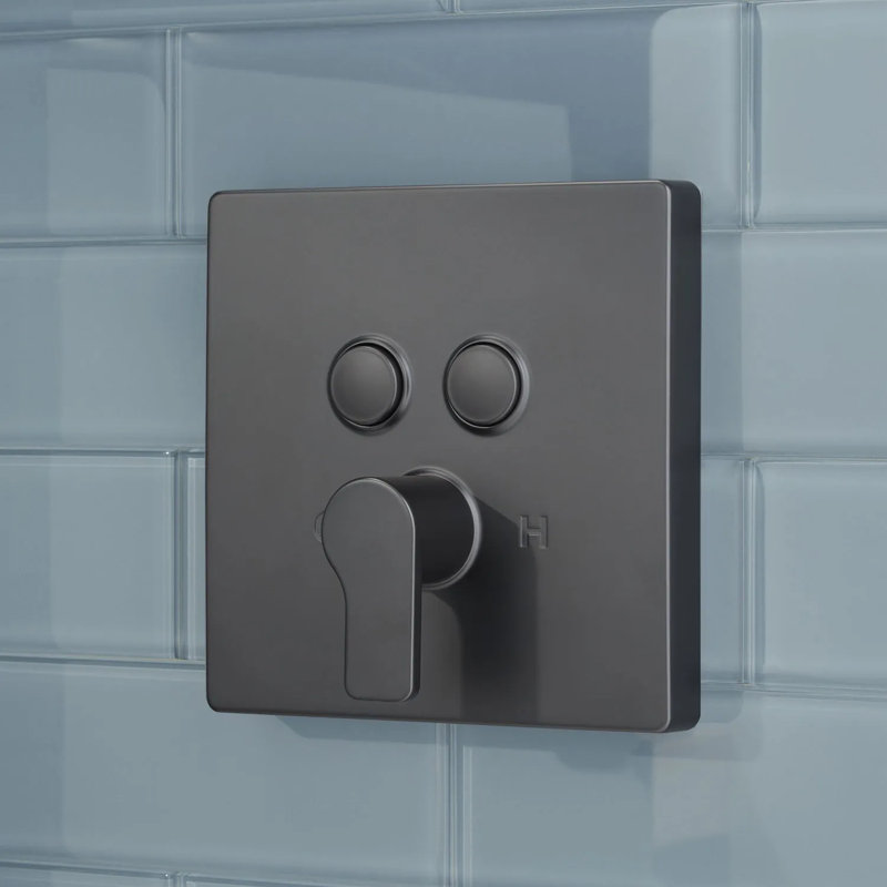 Système de douche Hibiscus Simple Select, Noir mat