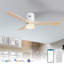 Ventilateur de plafond à moteur à courant continu 52 po  avec lumières DEL et télécommande-1575579153