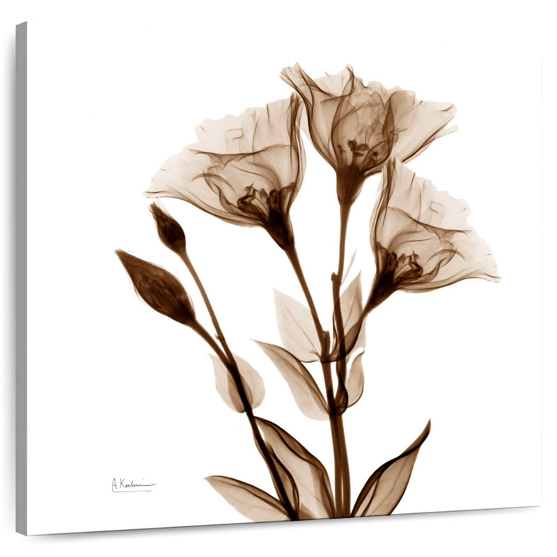 Harnek Gentian In Sienna, 16" H x 16" W