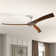 Burwell 62'' Ceiling Fan with LED Lights