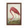 American Flamingo by John Audubon - Floater Frame Painting on Canvas