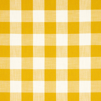 Schumacher x Mary McDonald Picnic Indoor/Outdoor Fabric