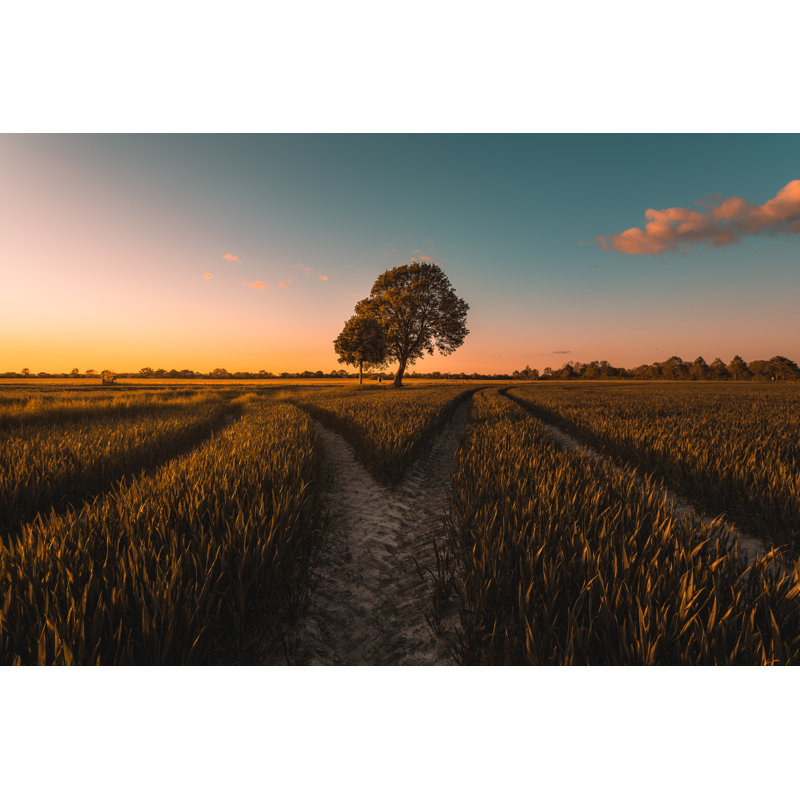 Wlikerson Fork - Wrapped Canvas Print, 51cm H x 76cm W x 3.8cm D
