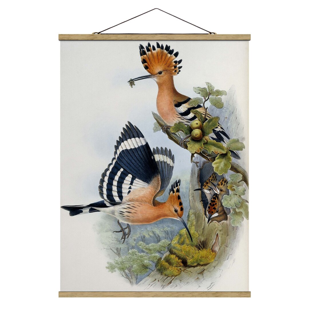 Stoffbild Hoopoe von John Gould