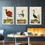 Heron Portrait IV, ensemble de 3 toiles encadrées-97792415-97792418