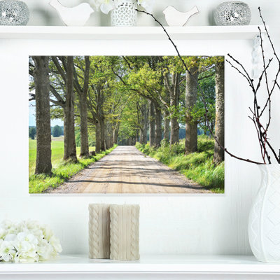 " Old Road Through Alley "