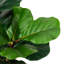 Amee 41.25" H Faux Fiddle Leaf Fig Tree in Pot