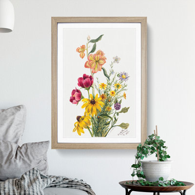 Group of Flowers Vol.1 by Mary Vaux Walcott - Framed Print