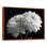 Monochromes blanc noir, «Mums Botanical Beauty I», reproduction d'art mural