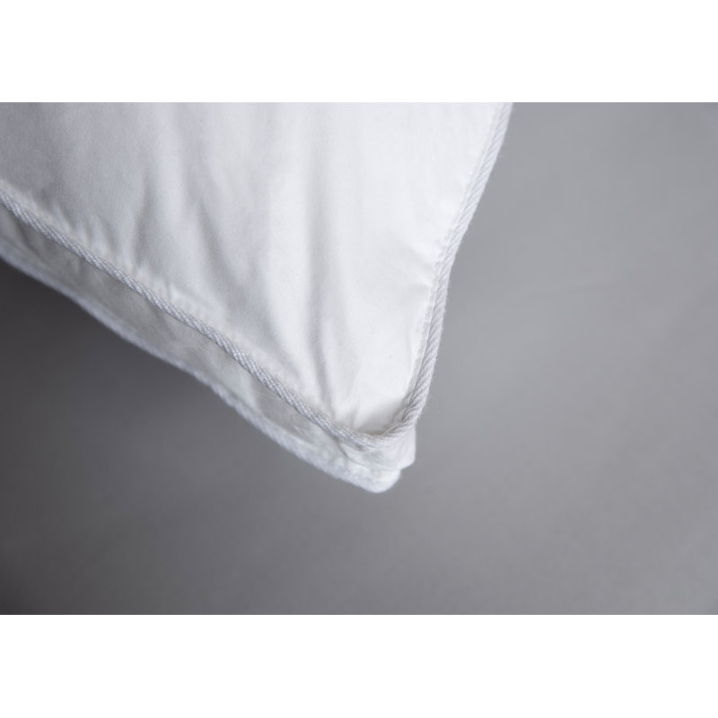 Coussin Arias, Grand