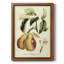 Impression sur toile encadrée de qualité supérieure de fruits de Toscane IV - prête à être accrochée-129538948